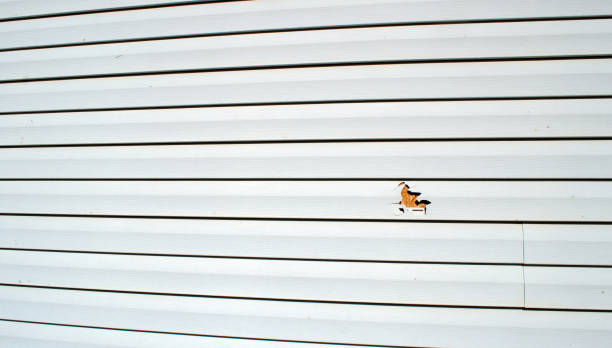 Best Engineered Wood Siding  in Sutter Creek, CA