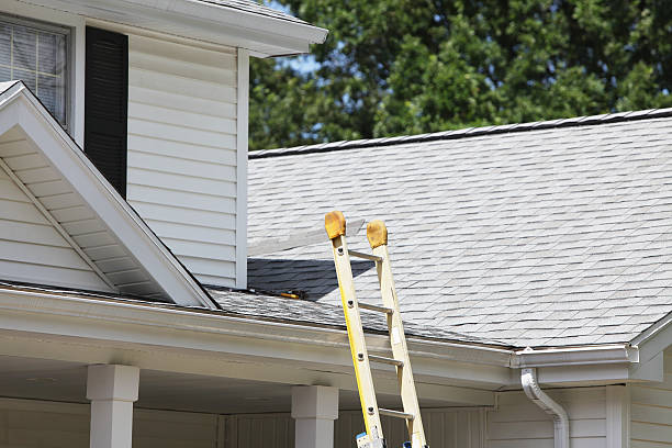 Best Stone Veneer Siding  in Sutter Creek, CA